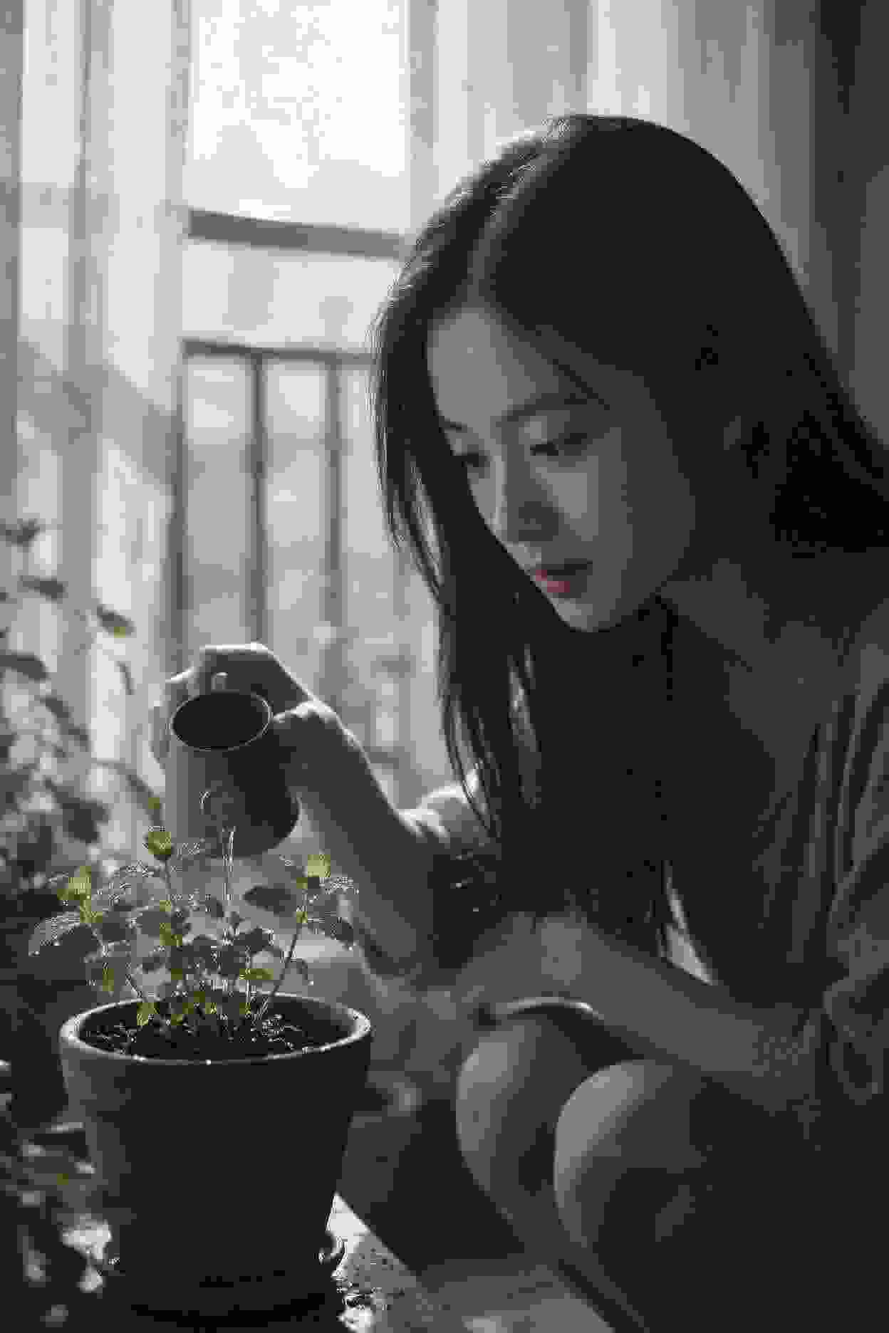 纸鸢漫剧